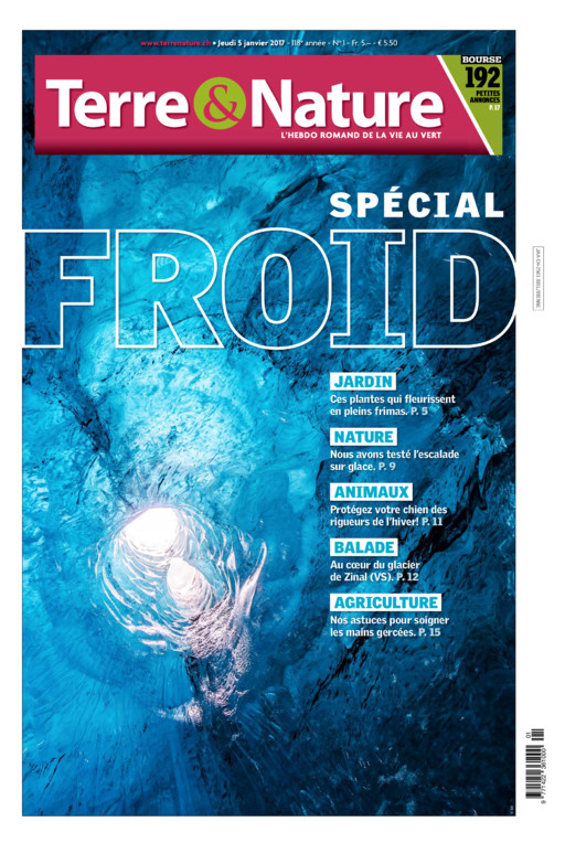 Hebdo 05/01/2017