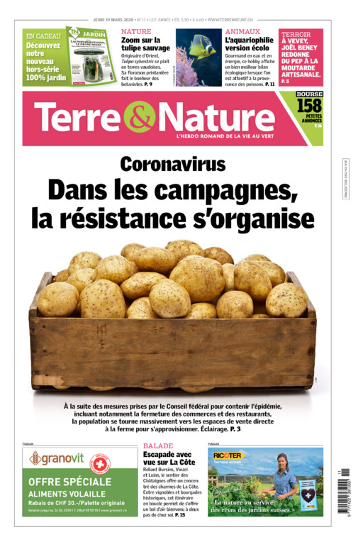 Hebdo 19/03/2020