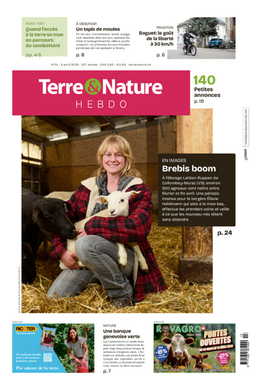 Hebdo 03/04/2025
