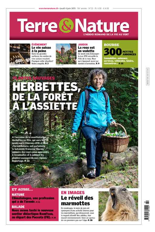 Hebdo 04/06/2015