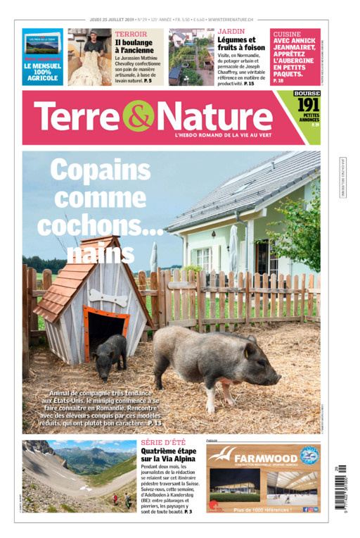 Hebdo 25/07/2019