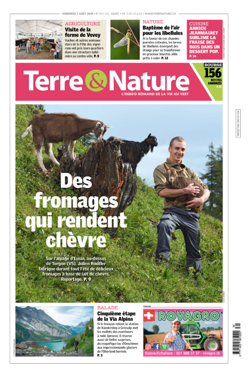 Hebdo 02/08/2019