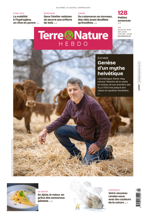 Hebdo 29/01/2026