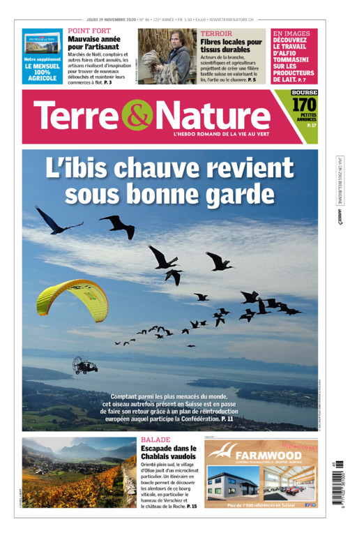 Hebdo 19/11/2020