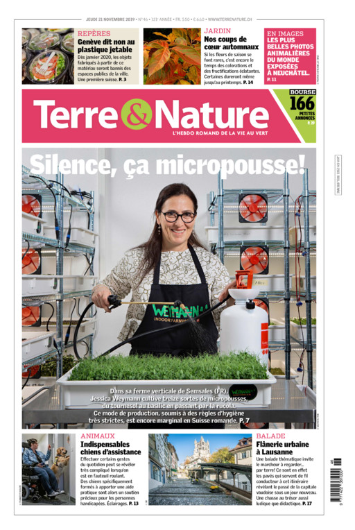 Hebdo 21/11/2019