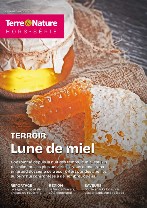 Hors-série Terroir - 2025