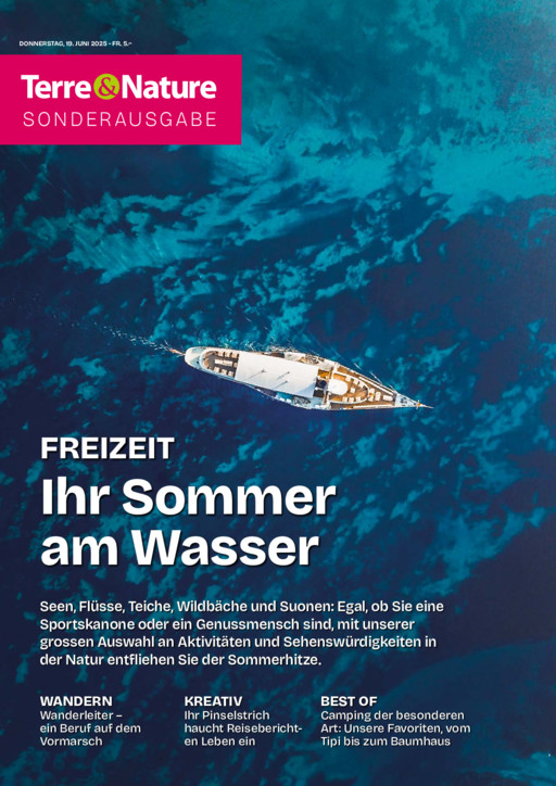 Sonderheft Freizeit - 2025