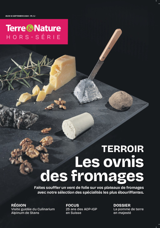 Hors-série Terroir - 2024