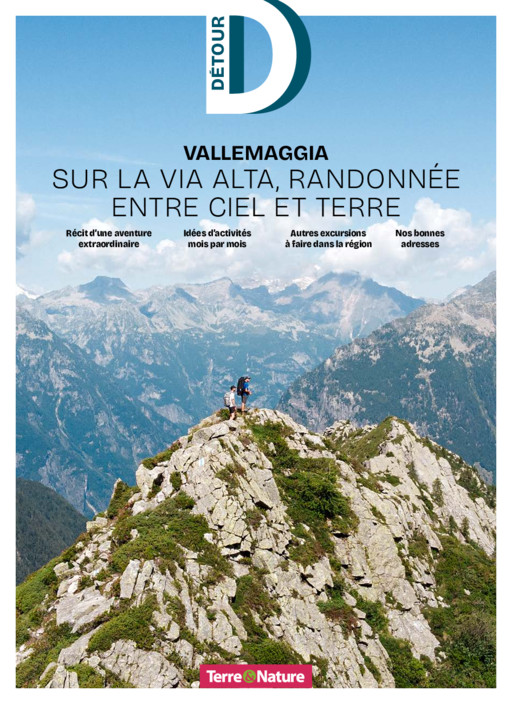 Détour - Vallemaggia - 2024