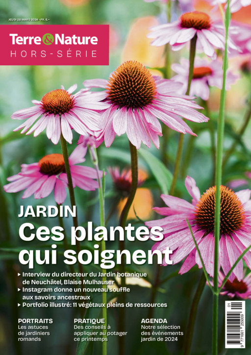 Hors-série Maison &amp; Jardin - 2024