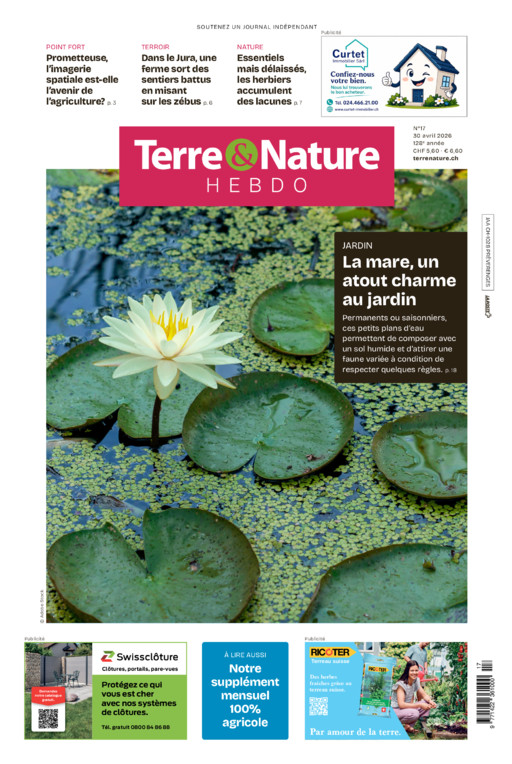 Hebdo 30/04/2026