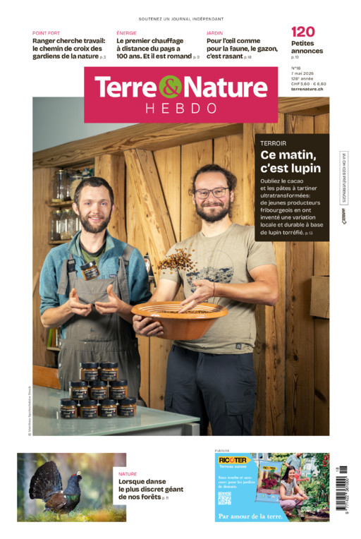 Hebdo 07/05/2026