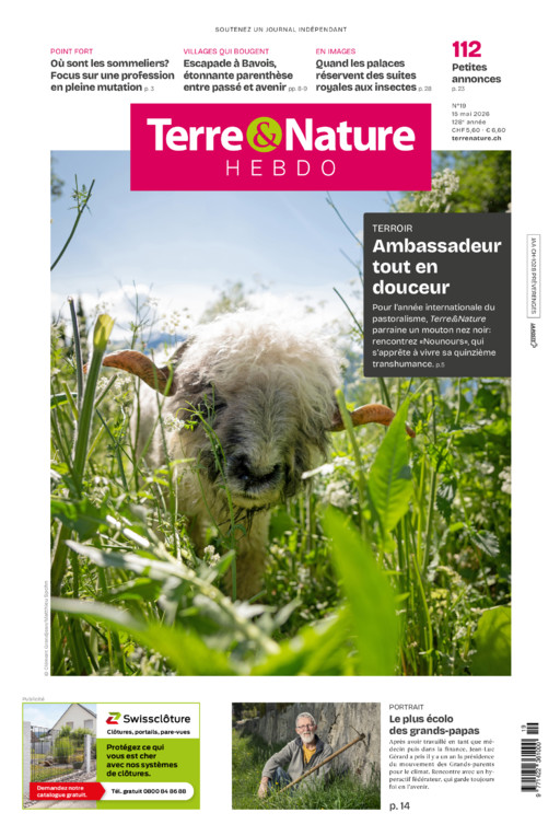 Hebdo 15/05/2026