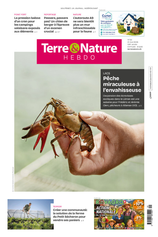 Hebdo 21/05/2026