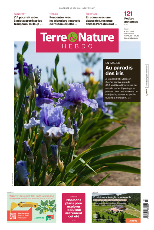 Hebdo 04/06/2026