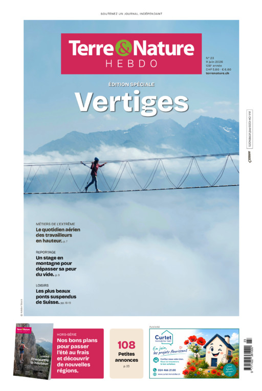 Hebdo 11/06/2026