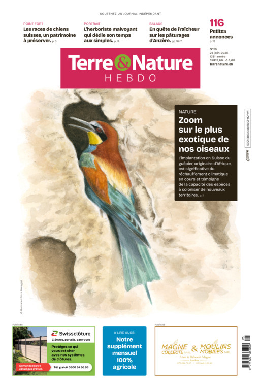 Hebdo 25/06/2026