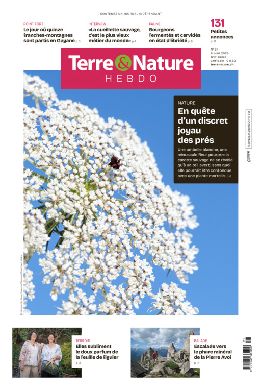 Hebdo 06/08/2026