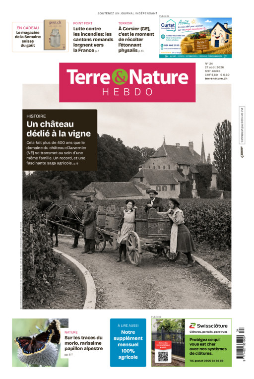 Hebdo 27/08/2026