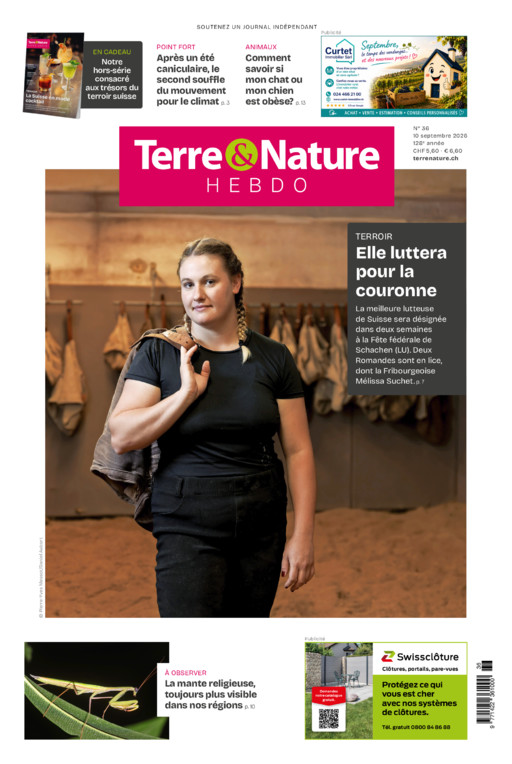 Hebdo 10/09/2026