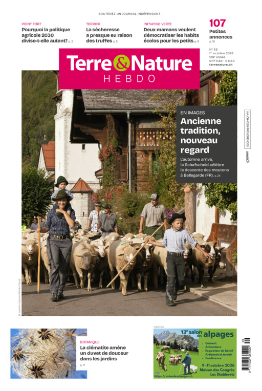 Hebdo 01/10/2026