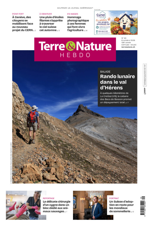 Hebdo 08/10/2026