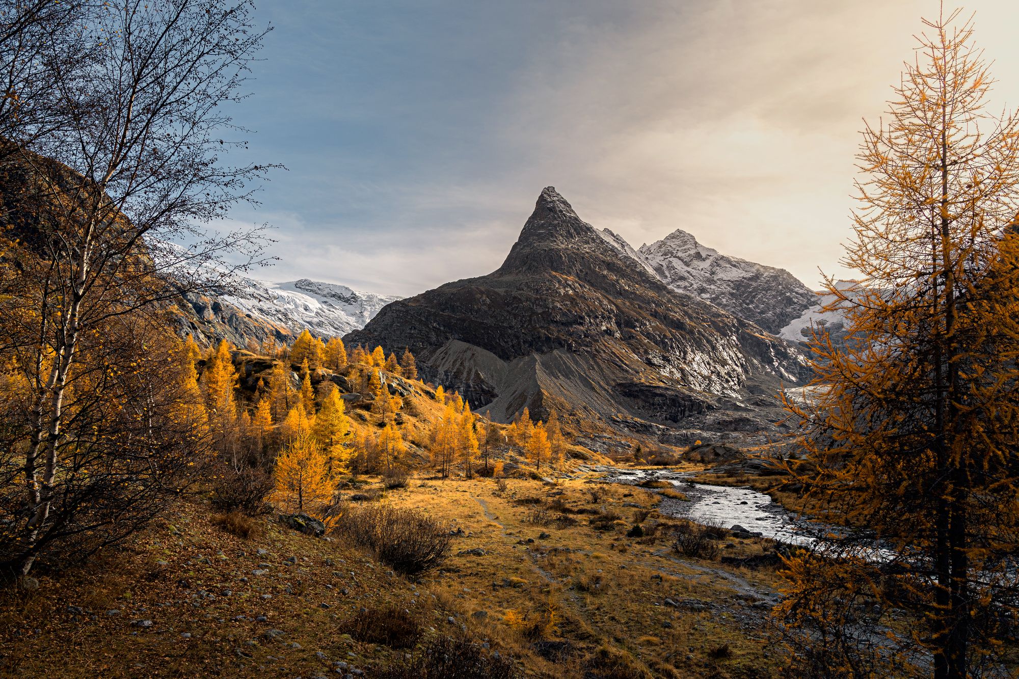 https://www.terrenature.ch/app/uploads/2024/11/09_Automne_10.jpeg