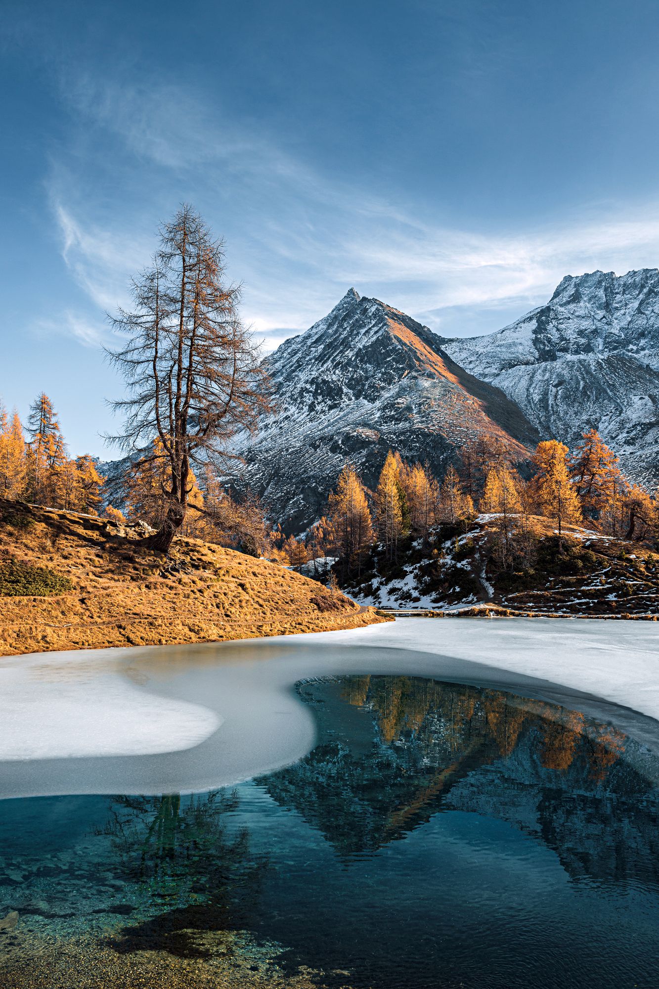 https://www.terrenature.ch/app/uploads/2024/11/09_Automne_27.jpeg