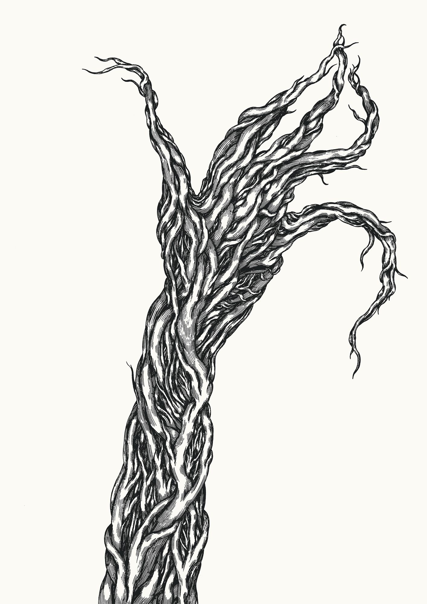 https://www.terrenature.ch/app/uploads/2024/11/10_104.jpeg