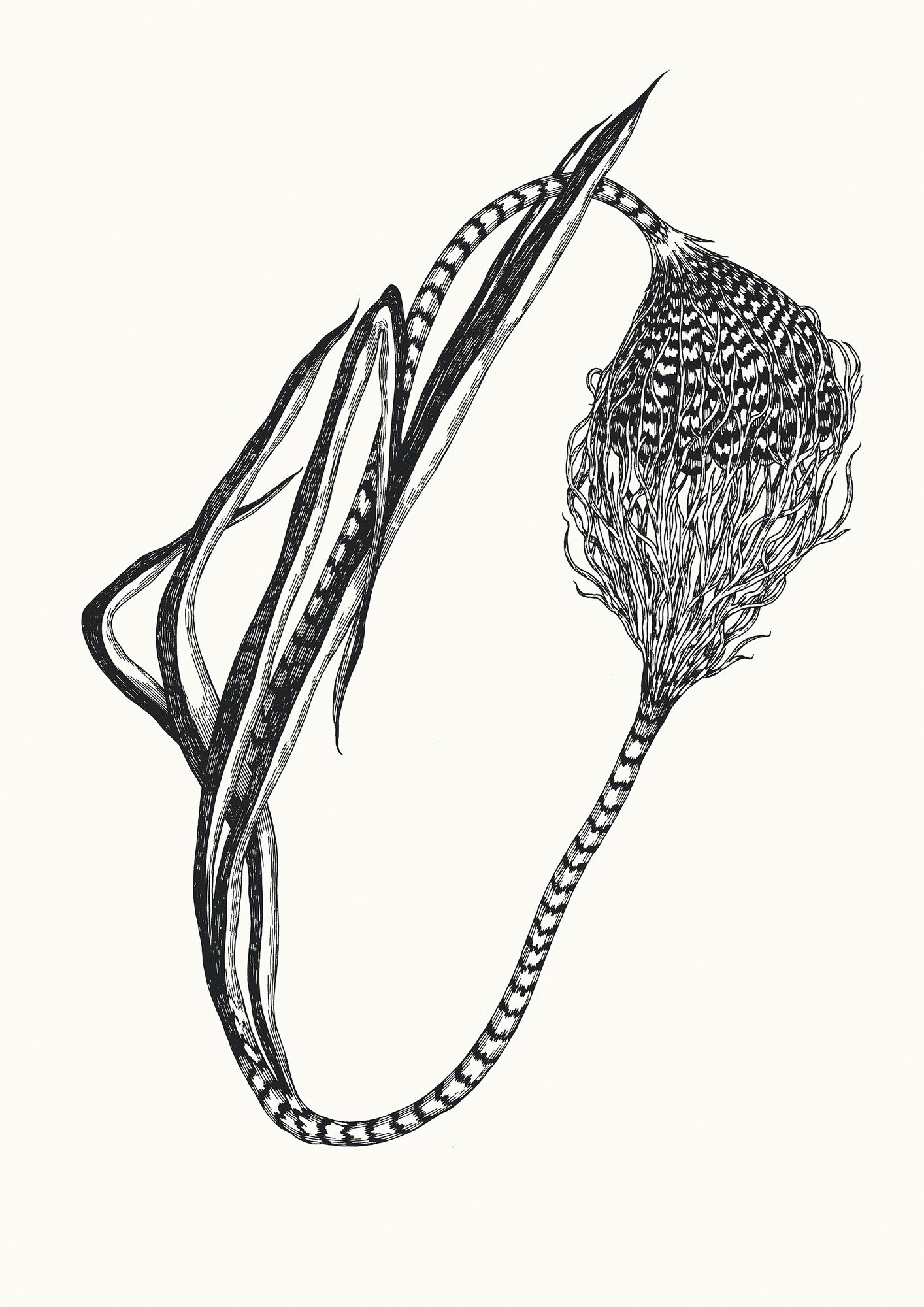 https://www.terrenature.ch/app/uploads/2024/11/10_19.jpeg