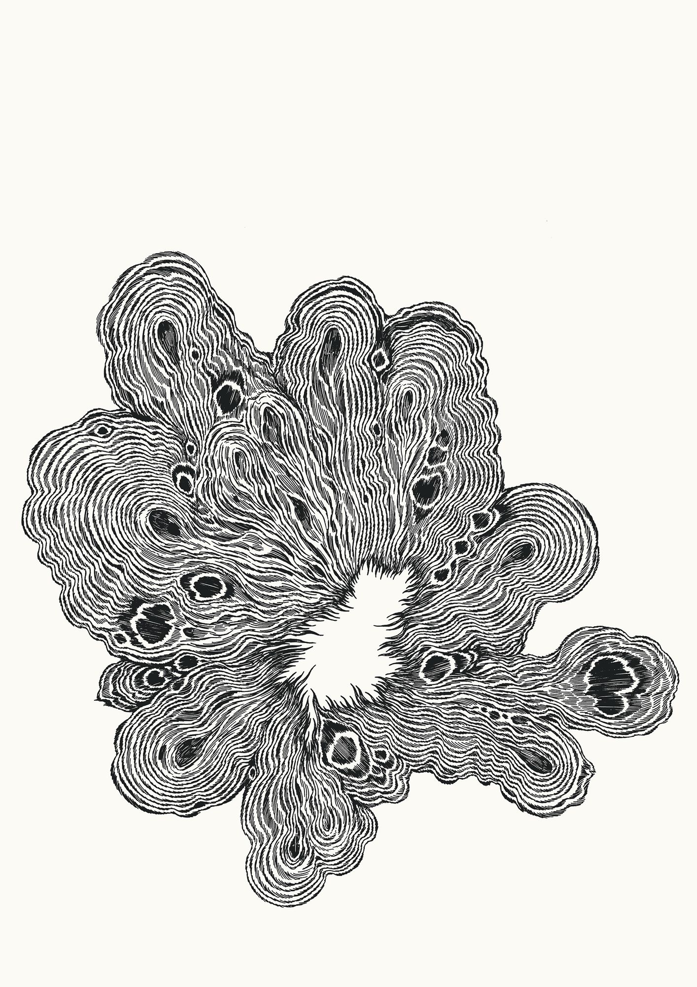https://www.terrenature.ch/app/uploads/2024/11/10_80.jpeg