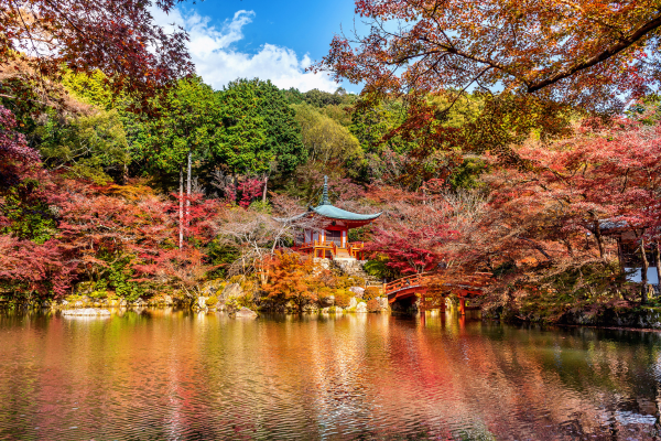 vl japon