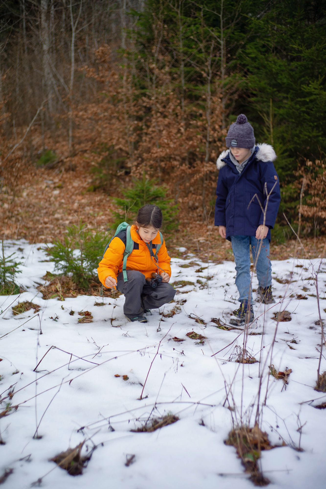 https://www.terrenature.ch/app/uploads/2025/01/09_L1017186.jpeg