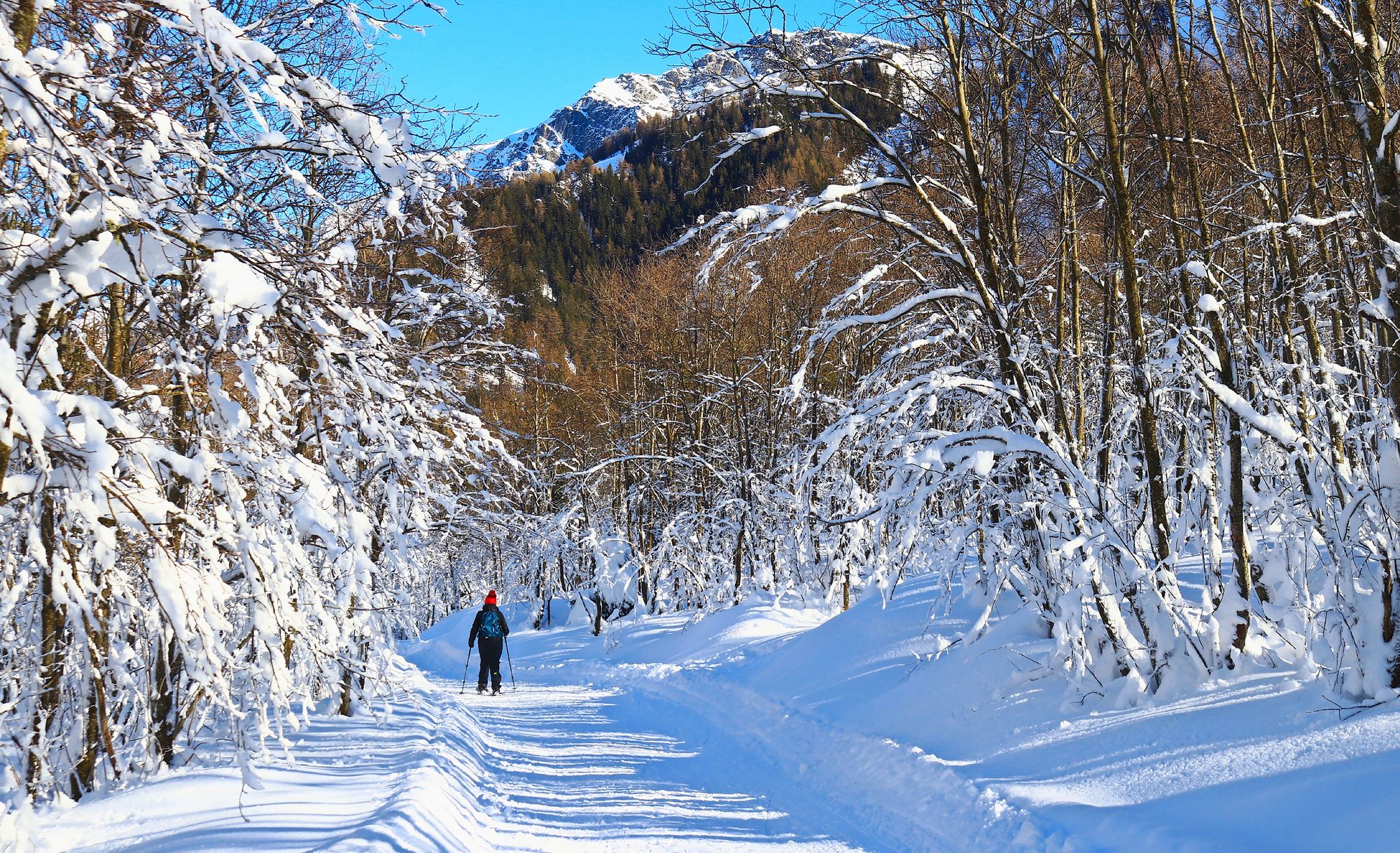 https://www.terrenature.ch/app/uploads/2025/01/18_00_fouly_prayon_6968.jpeg