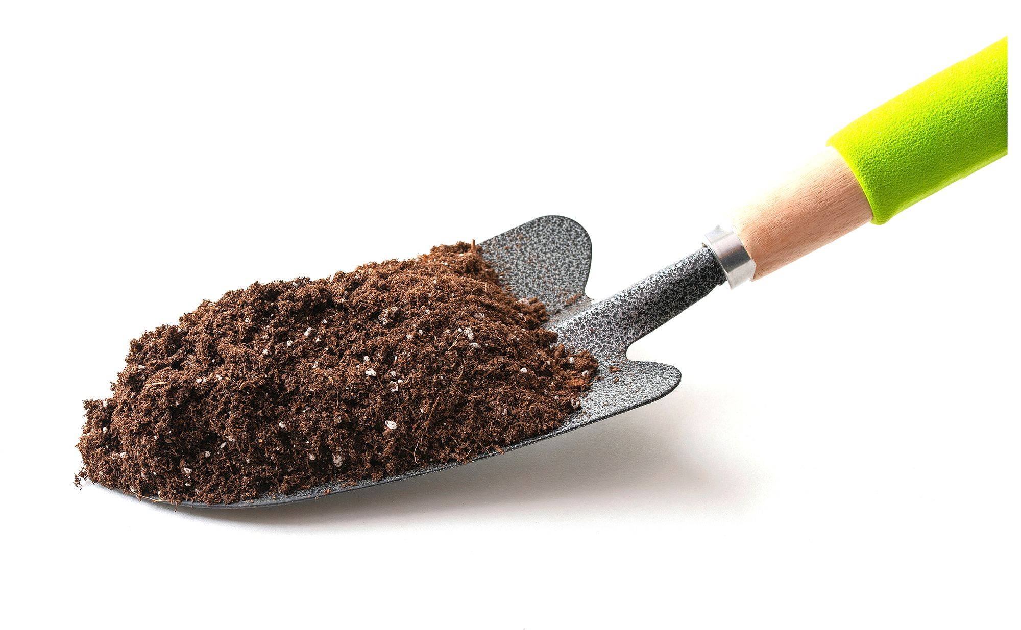 https://www.terrenature.ch/app/uploads/2025/03/HSJ25_37_AdobeStock_493294903.jpeg