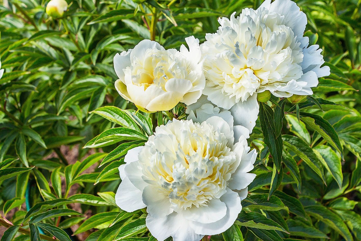 https://www.terrenature.ch/app/uploads/2025/03/HSJ25_38_AdobeStock_358297545.jpeg