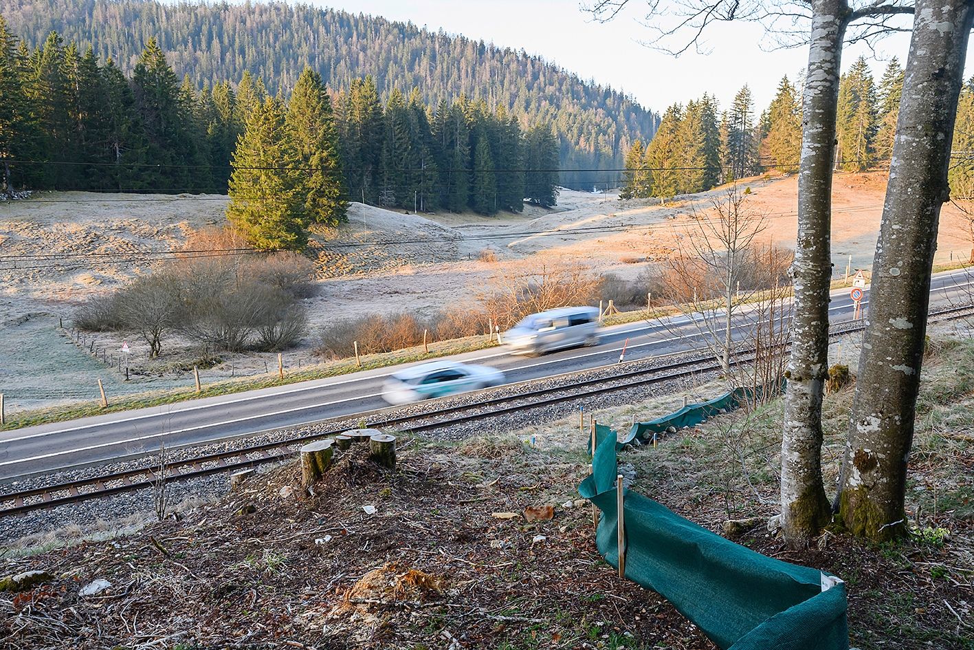 https://www.terrenature.ch/app/uploads/2025/04/09_FW31320.jpeg