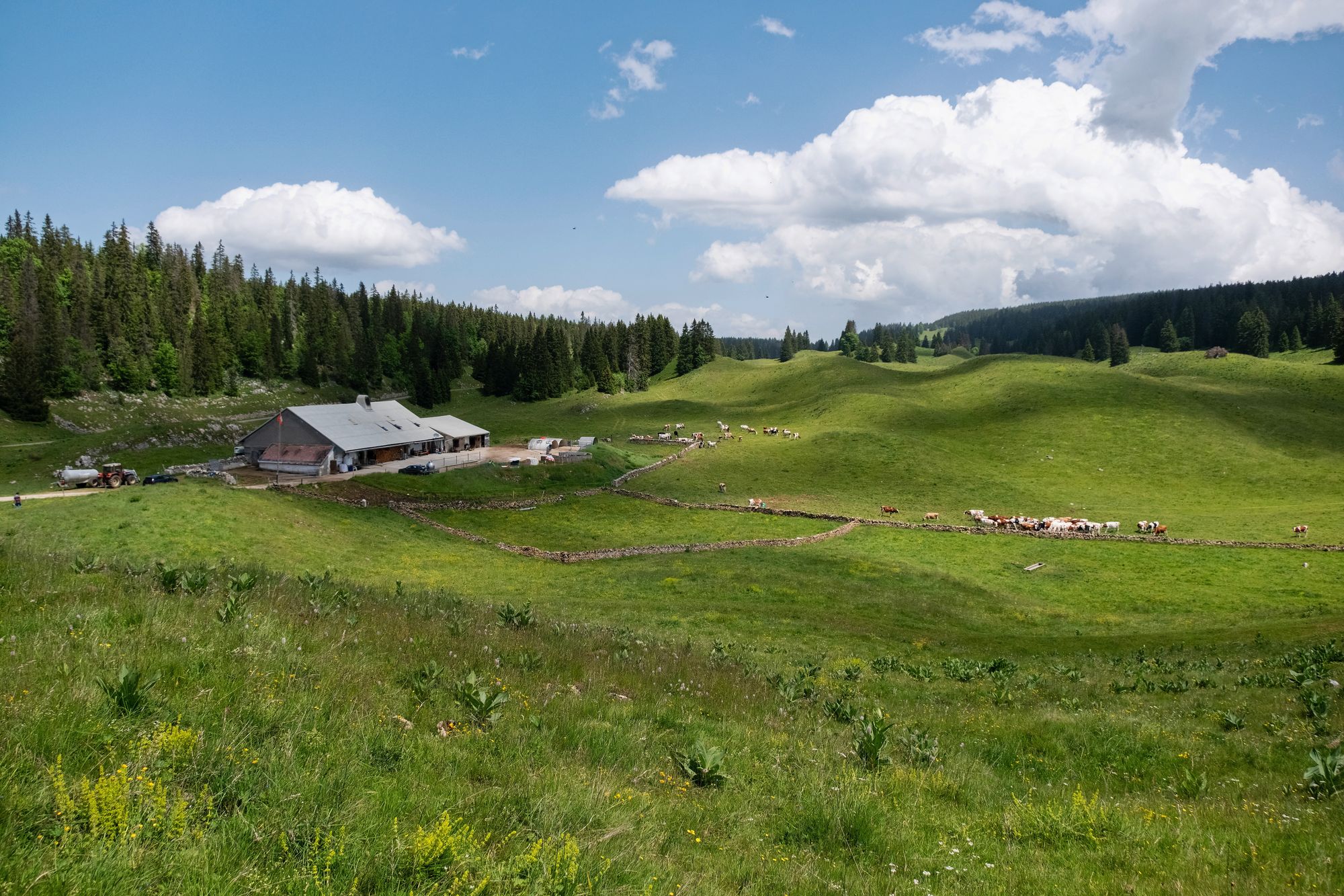 https://www.terrenature.ch/app/uploads/2025/04/16_Alpage-Bassine-©-CREATIVES-MRT-PDRA-42.jpeg