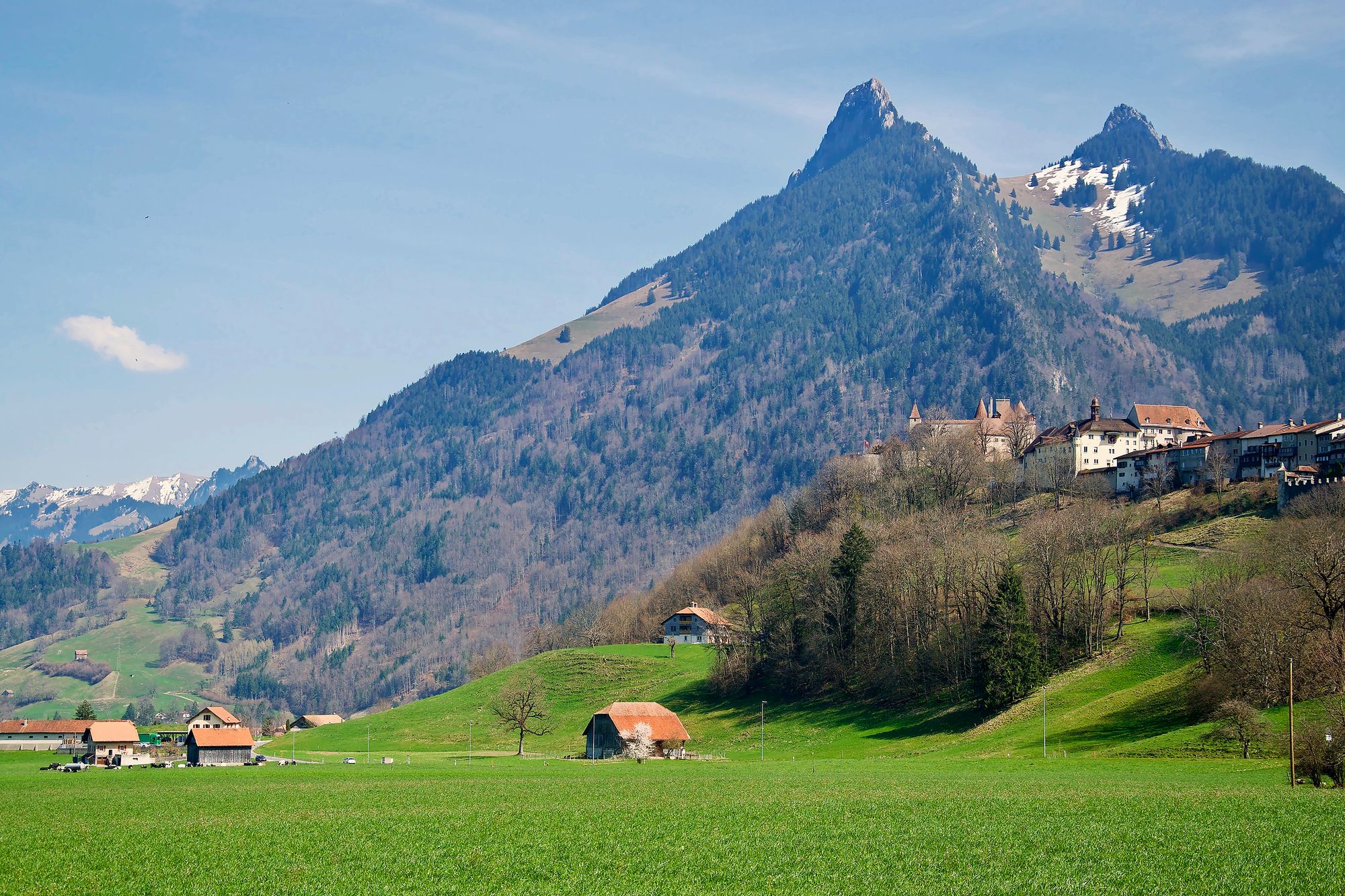https://www.terrenature.ch/app/uploads/2025/04/19_DSC_1709.jpeg