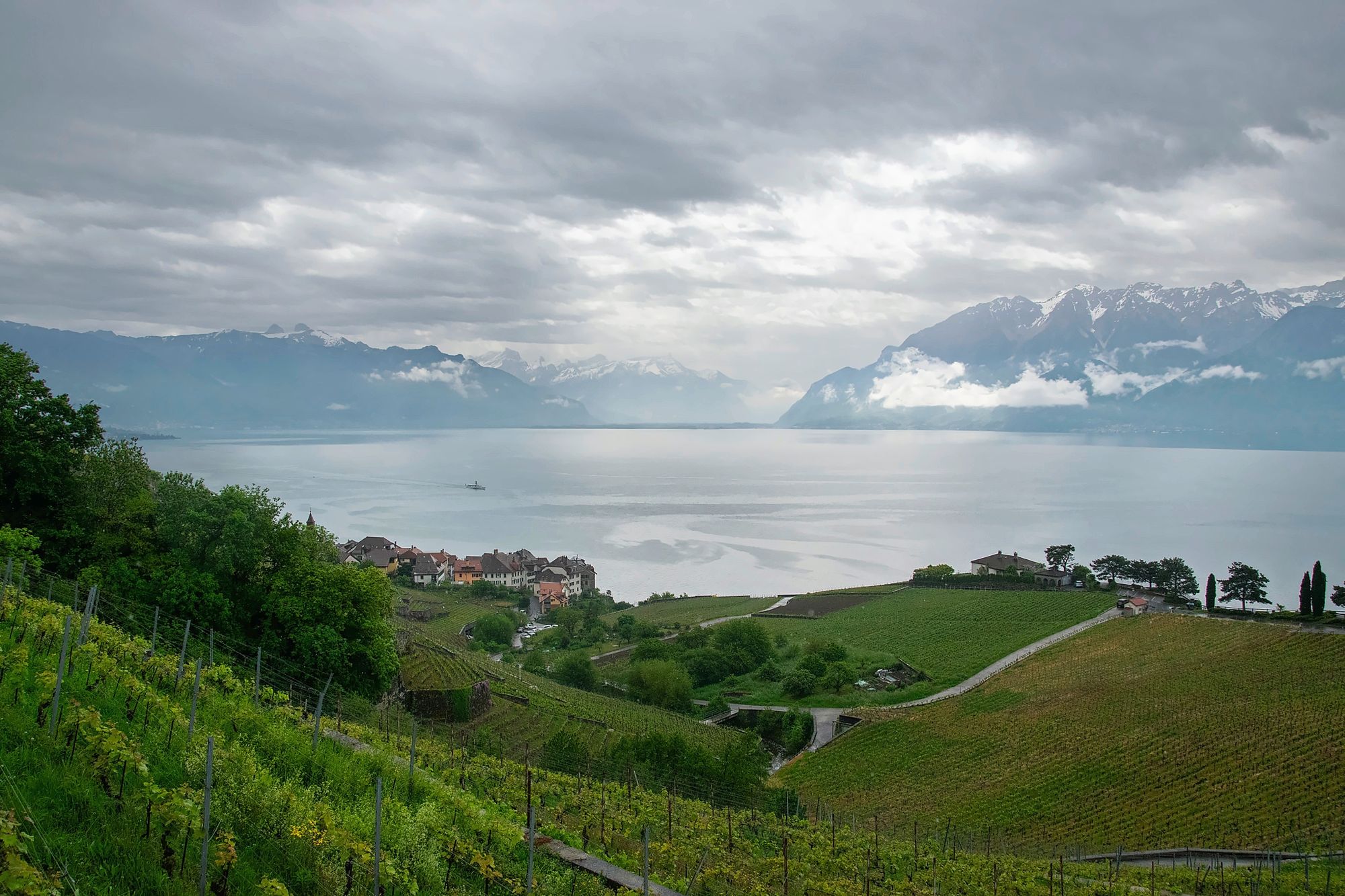 https://www.terrenature.ch/app/uploads/2025/05/17_DSC_1723.jpeg