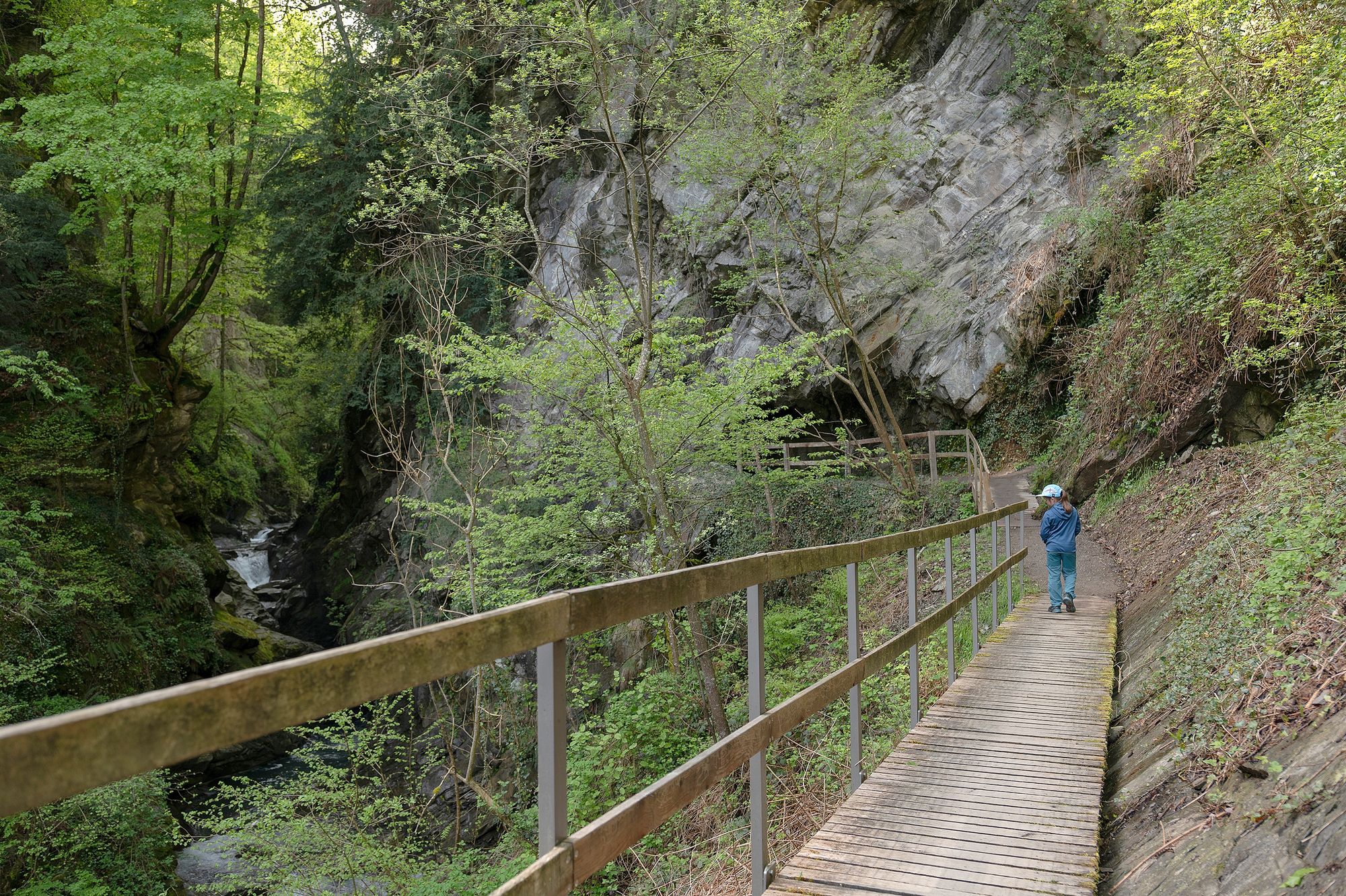 https://www.terrenature.ch/app/uploads/2025/05/19_L1100486.jpeg