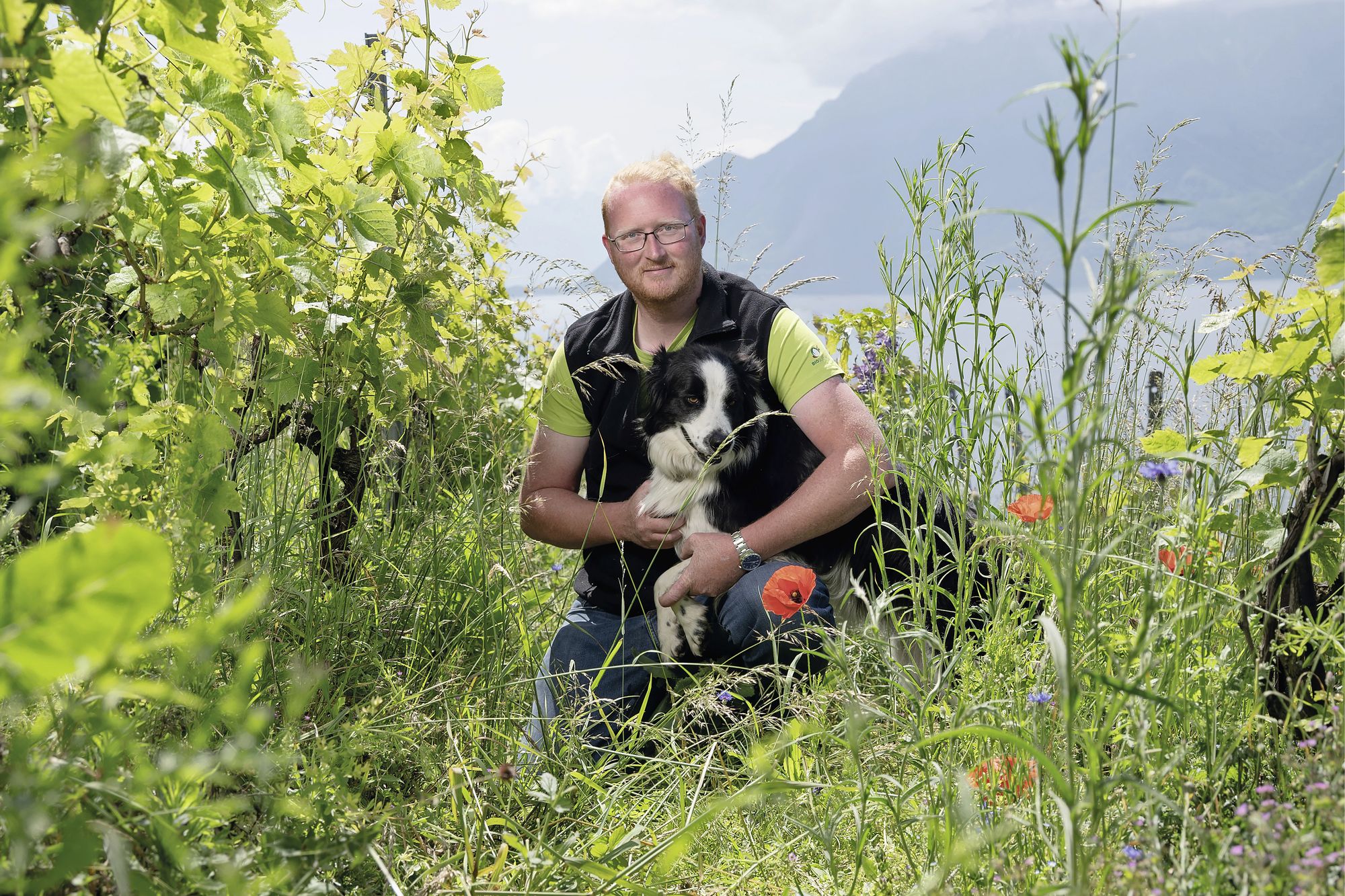 https://www.terrenature.ch/app/uploads/2025/06/12_Vallelian_horizontal.jpeg