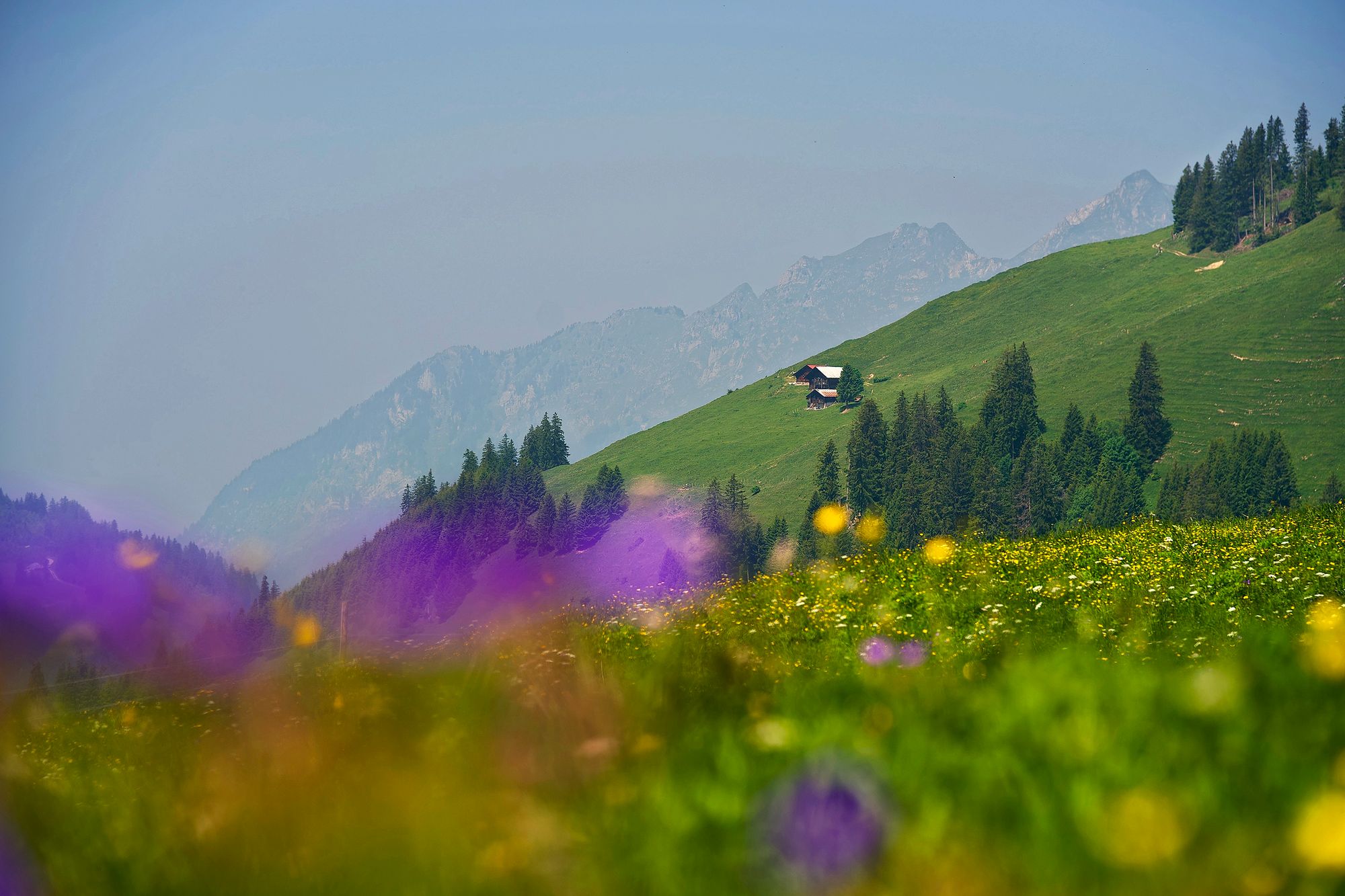 https://www.terrenature.ch/app/uploads/2025/06/17_FCH08148.jpeg