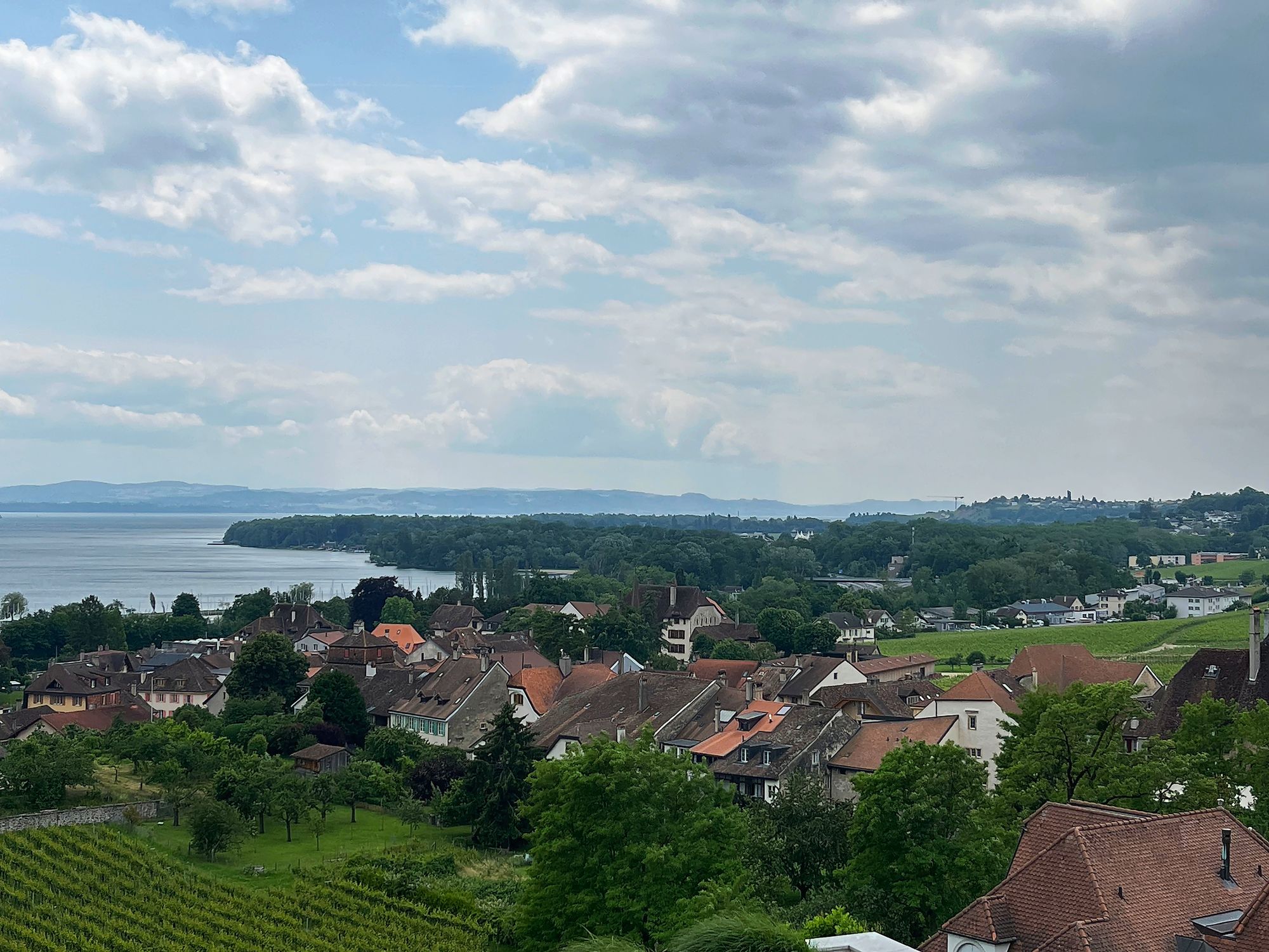 https://www.terrenature.ch/app/uploads/2025/06/17_auvernier.jpeg