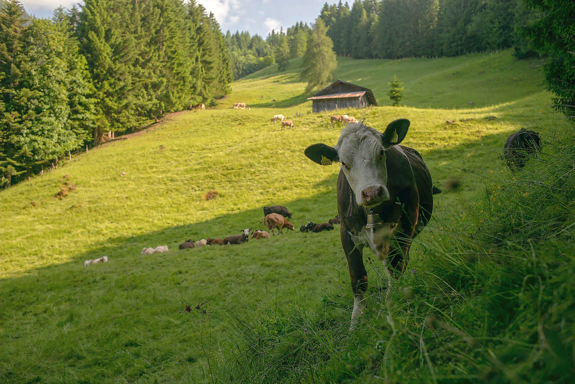 https://www.terrenature.ch/app/uploads/2025/06/PT_09_L1006067.jpeg