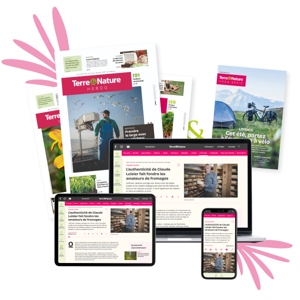 TN-Abos-offrestandard-NF-1an-600x600px