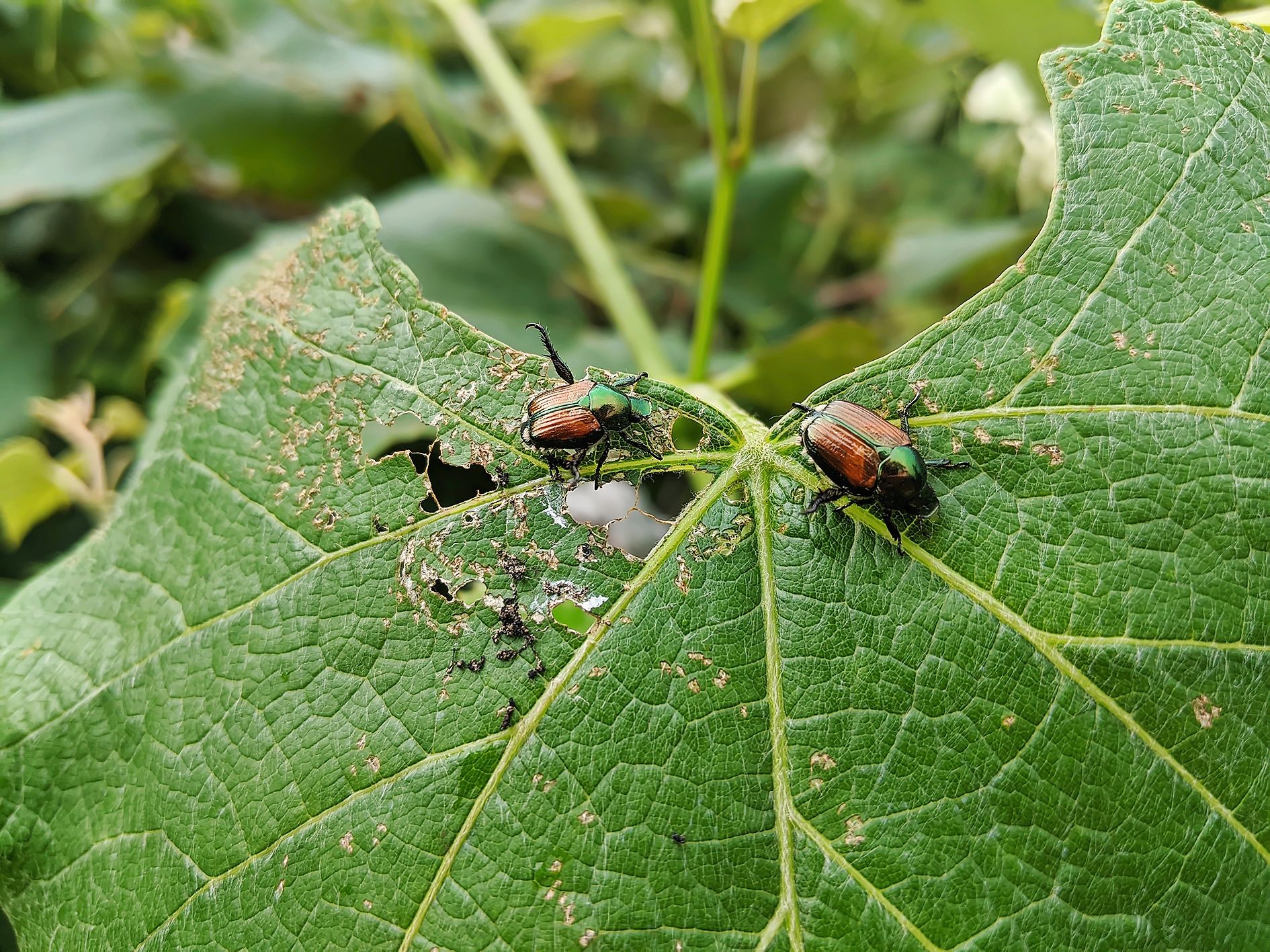 https://www.terrenature.ch/app/uploads/2025/07/05_AdobeStock_363420089.jpeg