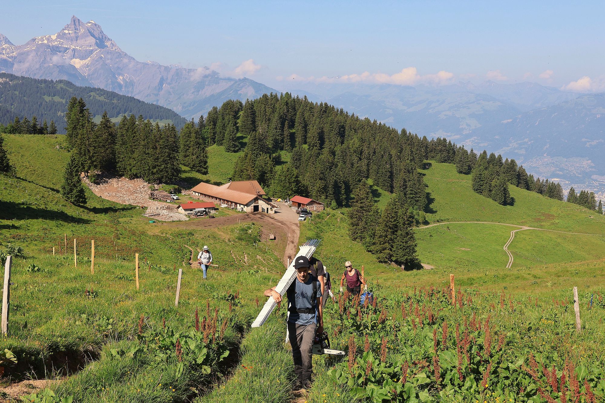 https://www.terrenature.ch/app/uploads/2025/07/06_IMG_0060.jpeg