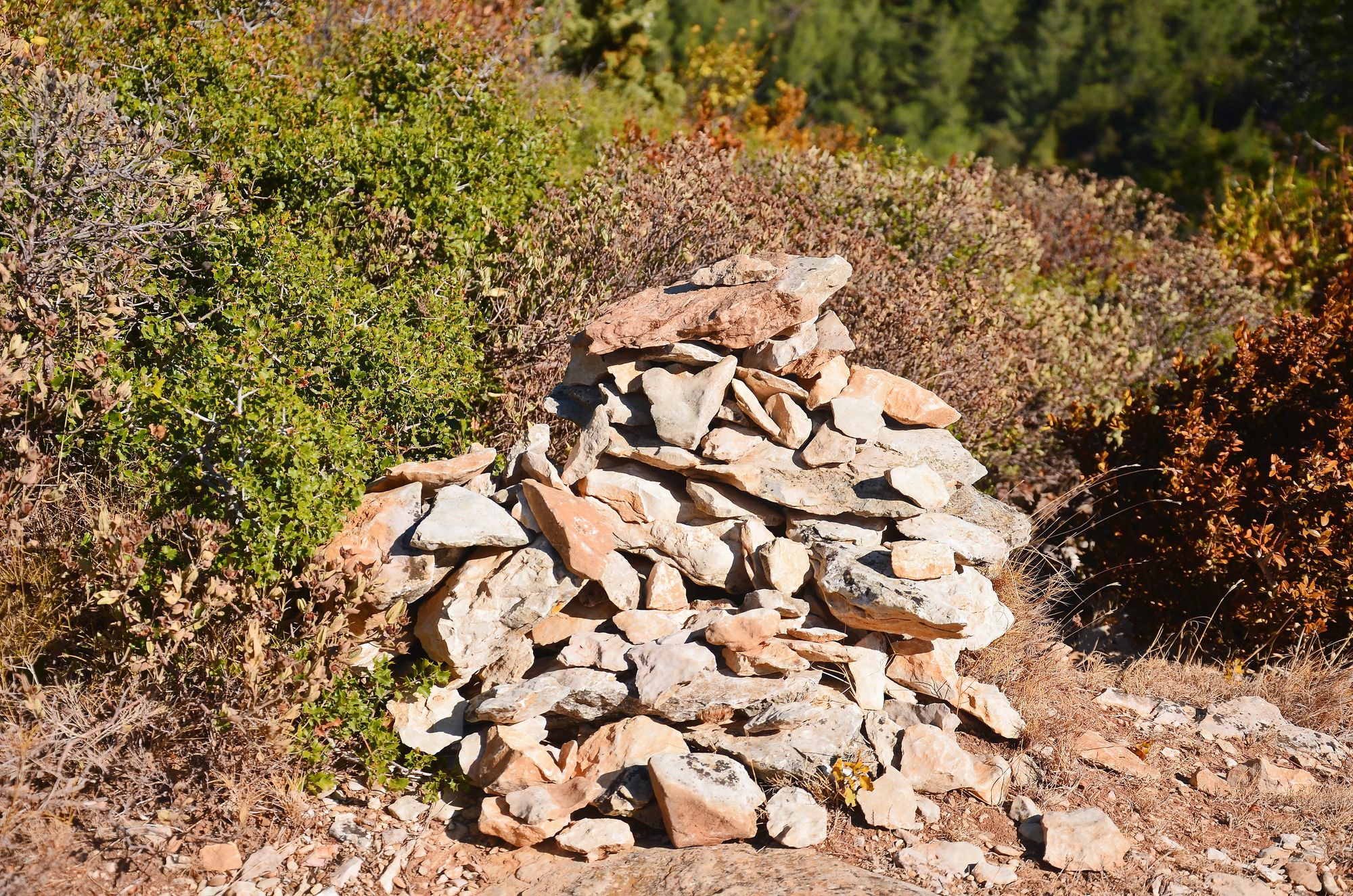 https://www.terrenature.ch/app/uploads/2025/07/07_AdobeStock_176117510.jpeg