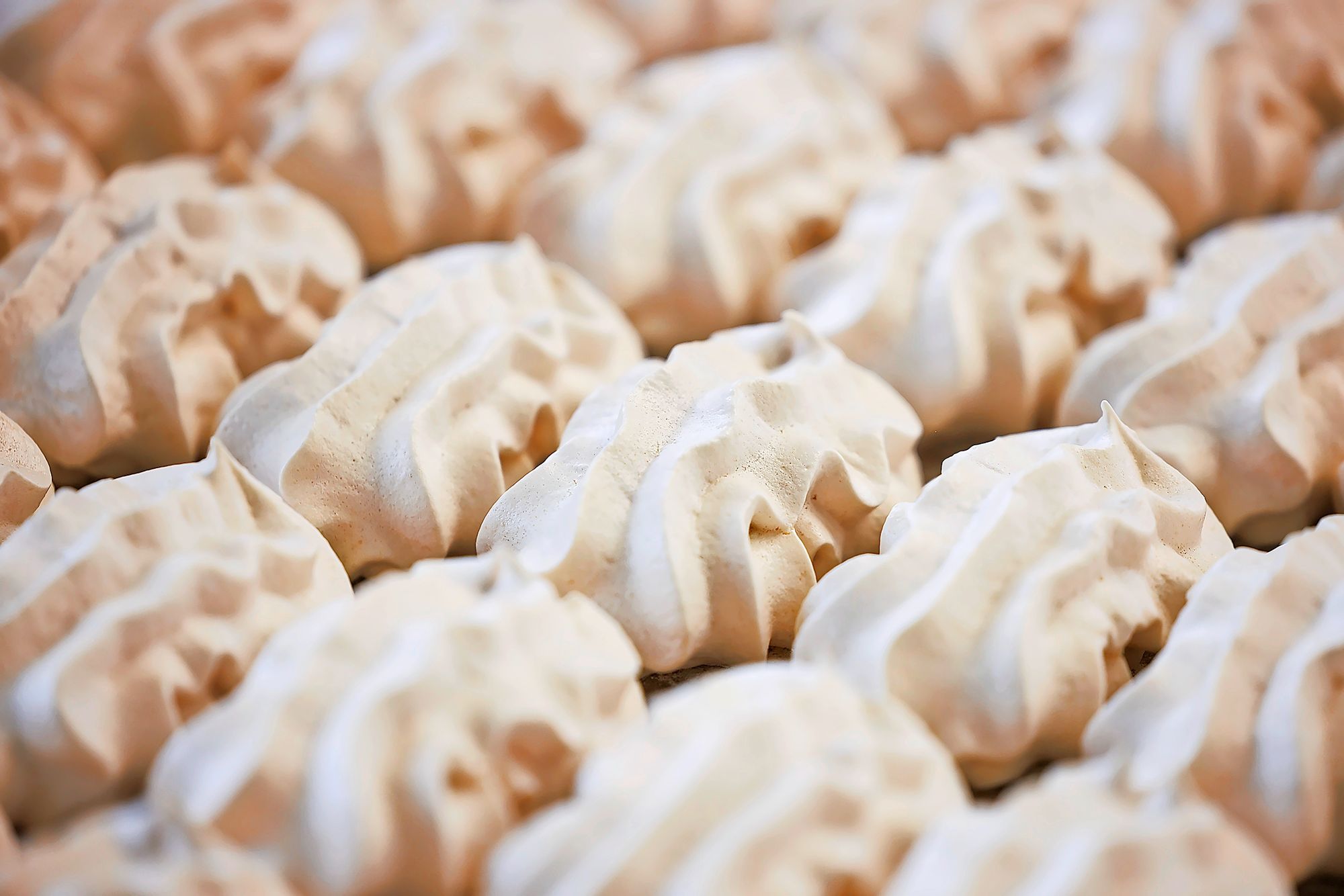 https://www.terrenature.ch/app/uploads/2025/07/15_meringues_06052025_©pierre_yves_massot_02A0424.jpeg